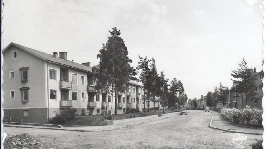 Linnean 1955